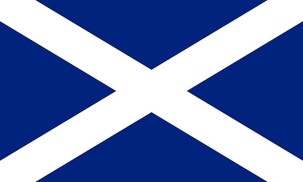 12. Какой из этих флагов не бело-голубой с крестом?