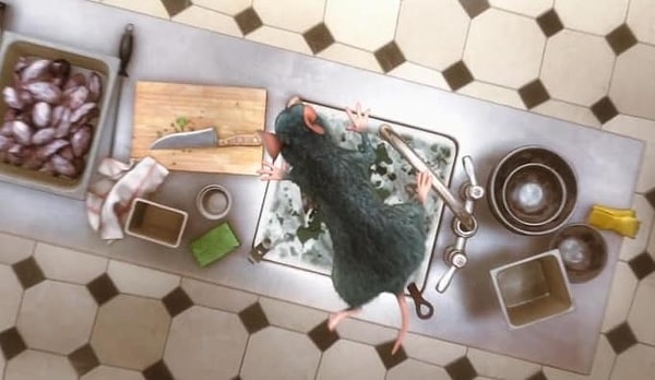 1. Реми прыгает в мойку, полную мыльной воды, когда попадает на кухню ресторана, так что он потом не загрязняет еду...