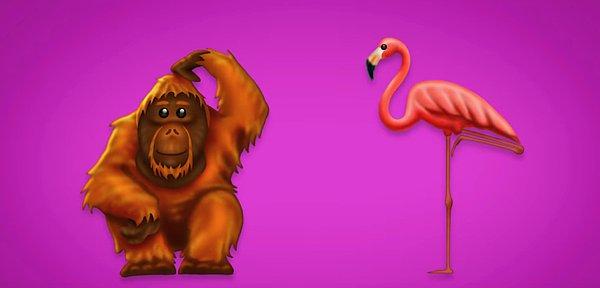 Orangutan ve flamingo