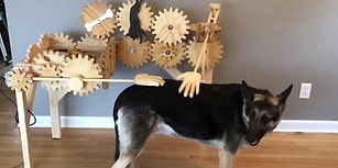 Köpek Dostlarımız İçin Düşünülmüş, Muhteşem Otomatik Köpek Sevme Aleti