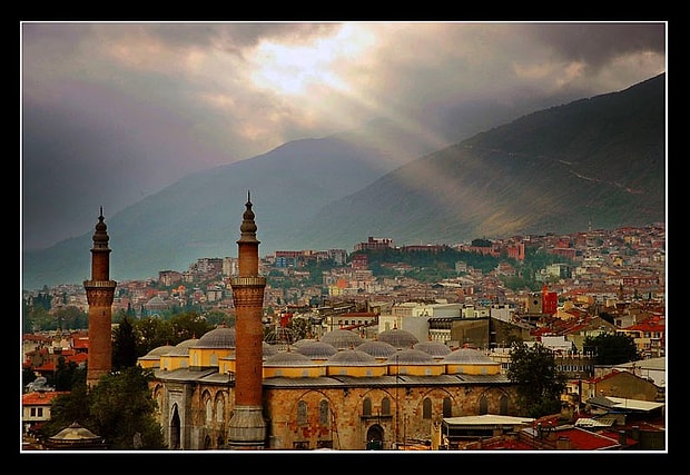 Bursa