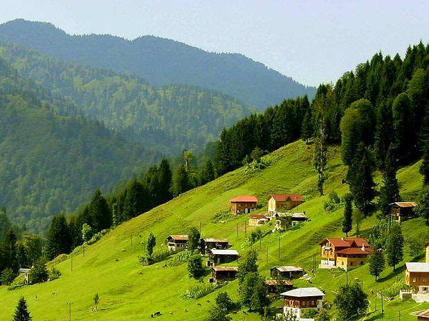 Rize