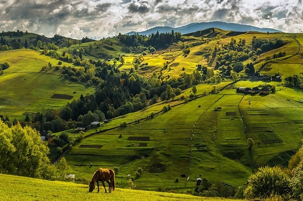 10. Какая из этих стран - самая большая по территории в Европе?