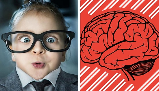 Тест на общие знания: Можете ли вы похвастаться эрудицией или она у вас равна нулю?