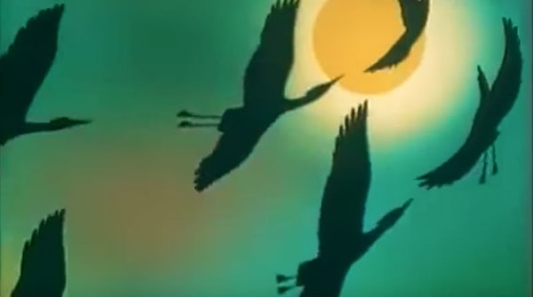 5. А ведь "В мире животных" не всегда вел Николай Дроздов. Кто первым стоял у руля программы?