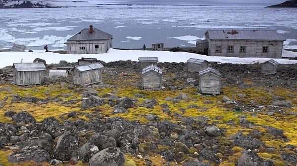 4. Какие острова являются самыми северными в РФ?