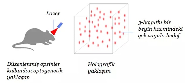 Bunu başardıkları takdirde, beyni kandırarak, bir şey duyumsadığını, gördüğünü ya da algıladığını sanmasını sağlayabileceklerini düşünüyorlar.