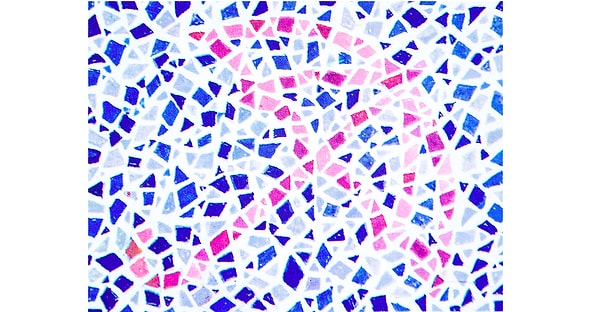 2. Расскажите-ка нам, что вы видите на мозаике?