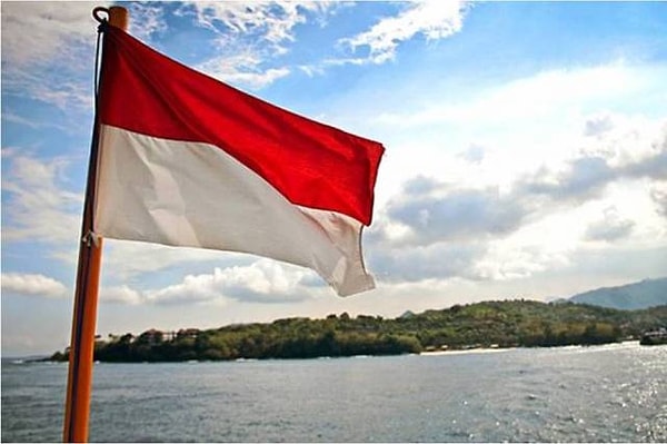 7. Флаг какой страны практически не отличить от флага Индонезии?