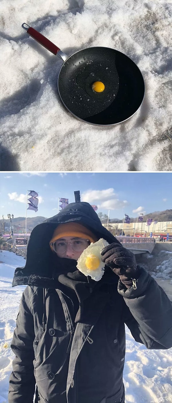 28. Решил посмотреть, что случится с яйцом на улице. Вот результат: