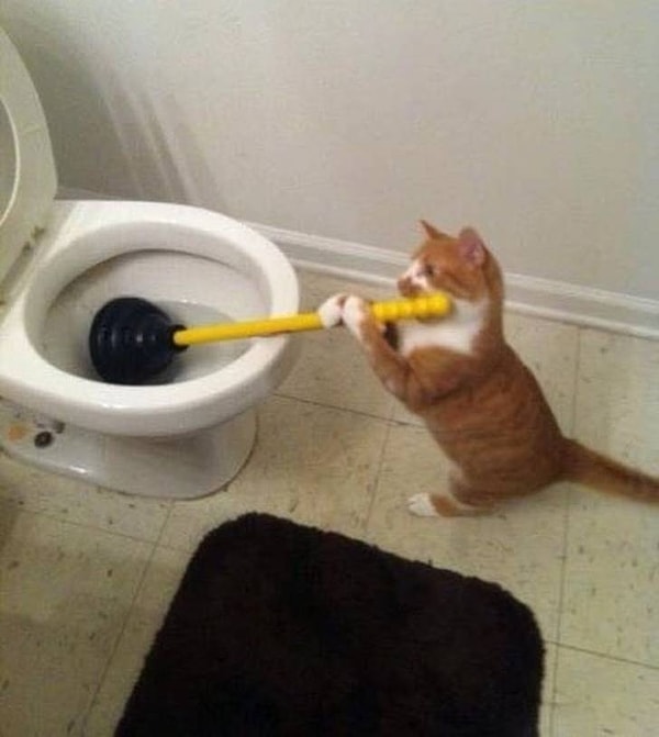 3. Когда мама вернулась с родительского собрания: