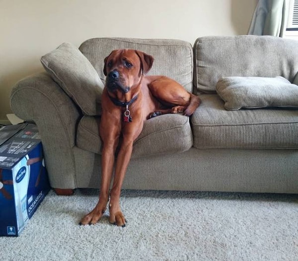 6. Одной ногой тут, другой - там