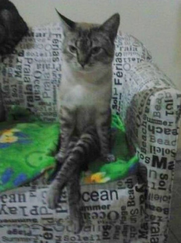 7. Когда три часа красилась и выбирала наряд, а твои подруги отменили встречу