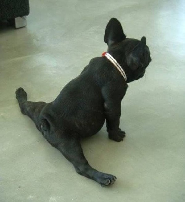 8. Когда отдали в балетную школу