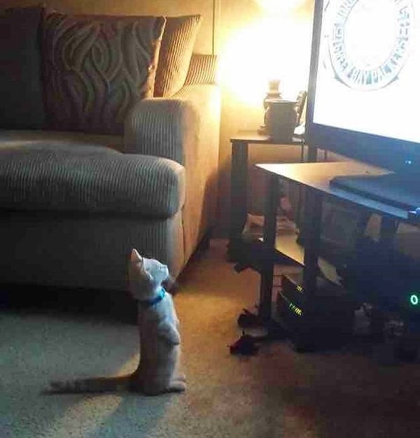 9. Когда встаешь в 7 утра, чтобы посмотреть "Веселую карусель"