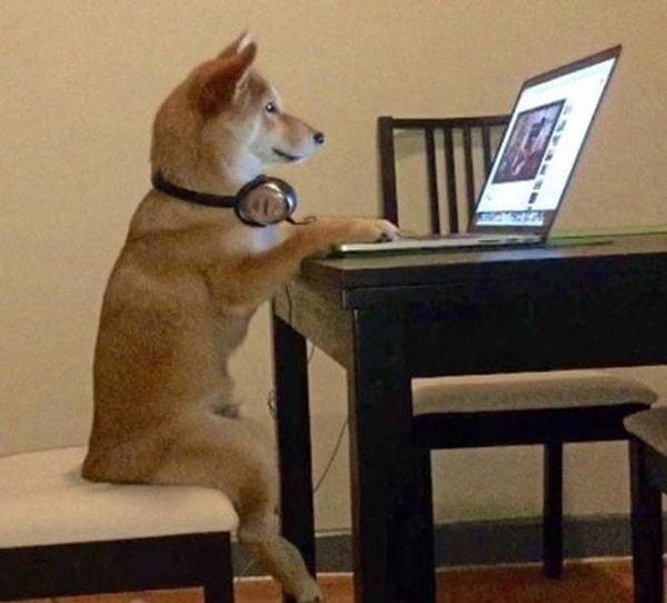 11. Когда некому запретить смотреть всякую ерунду на YouTube