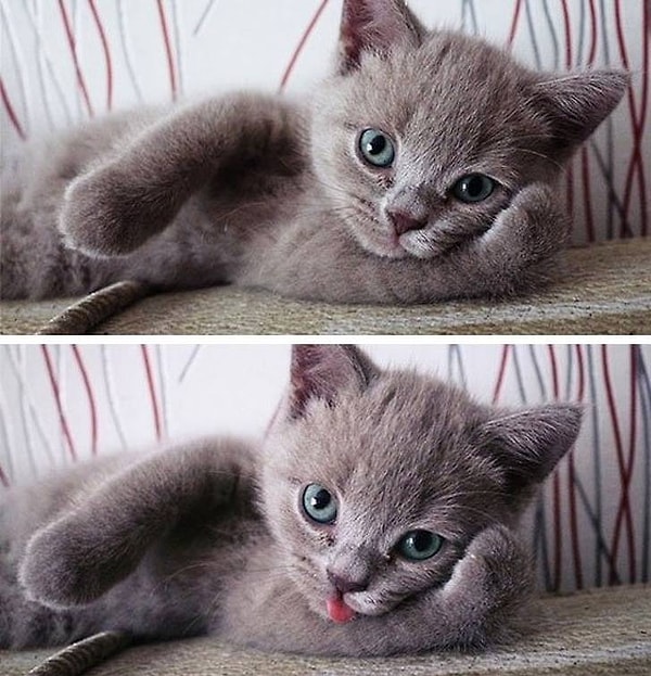 15. Когда ты ужасно фотогеничный