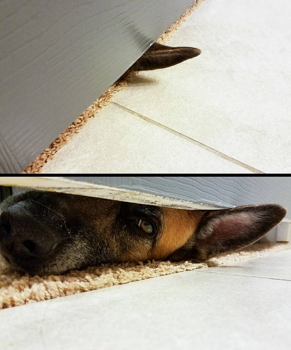 16. Когда услышал, как мама в соседней комнате упомянула твое имя, разговаривая по телефону