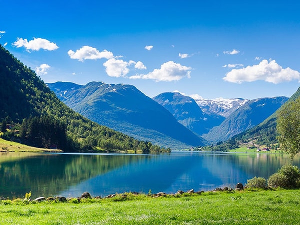 4. В какой стране нюношк (nynorsk) является официальным языком?