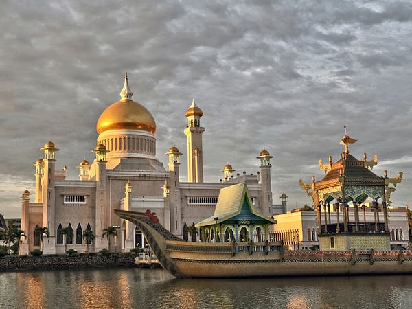 11. Официальным языком какой страны является малайский?