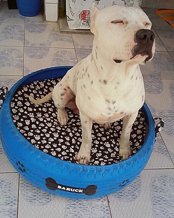 8. Для реализации затеи нужно всего лишь иметь желание и упорство