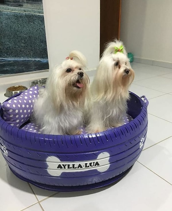 10. Им явно пришлась по вкусу новая кроватка