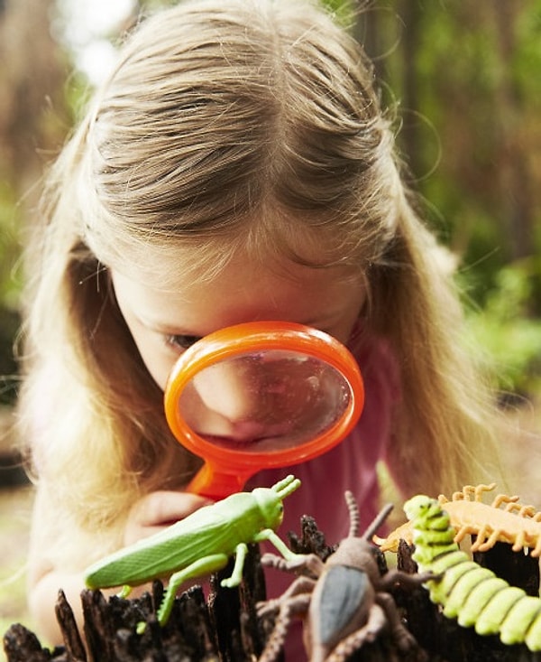 Наблюдательность
