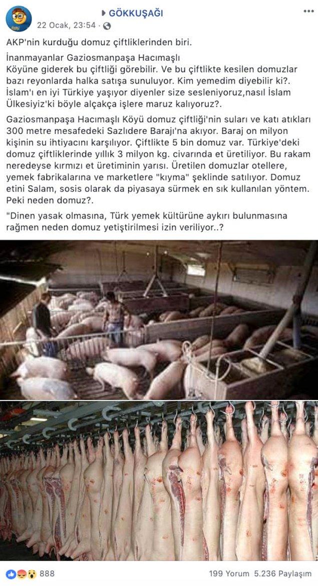 7. "AK Parti’nin İstanbul Hacımaşlı köyünde bir domuz çiftliği kurduğu iddiası."