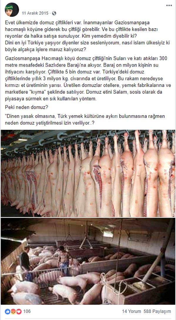 Ancak fotoğrafların Gaziosmanpaşa’nın Hacımaşlı köyünde kurulan domuz çiftliğini gösterdiği iddiası doğru değil.