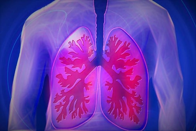 13. Kronik Obstrüktif Pulmoner Hastalığı