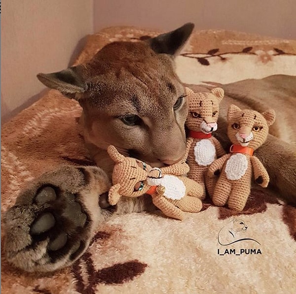 18. ... поиграть с любимыми игрушками...