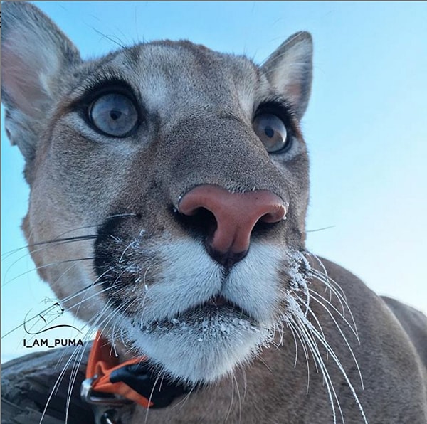 24. Поделитесь с нами своим мнением в комментариях!