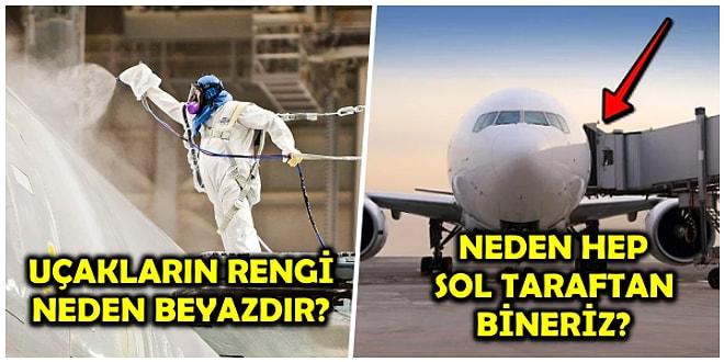 İstikbal Göklerdedir: Havacılık ve Uçaklarla İlgili Merak Edilen Soruları Sizler İçin Tek Tek Cevaplıyoruz!