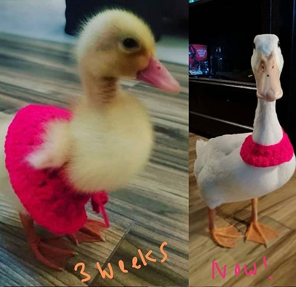 9. Малышка росла не по дням, а по часам!