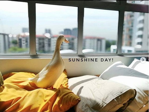 22. Какой прекрасный солнечный денек!