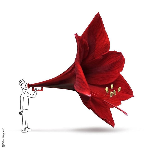 24. Говорите громче!