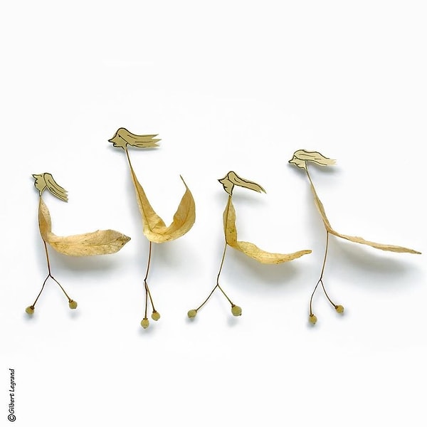 28. Тафт три погоды