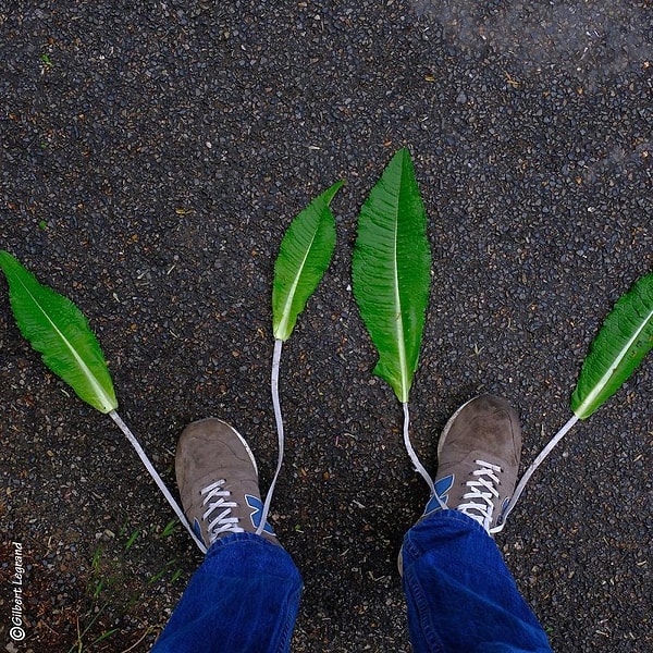 32. Вася, завяжи свои салаты