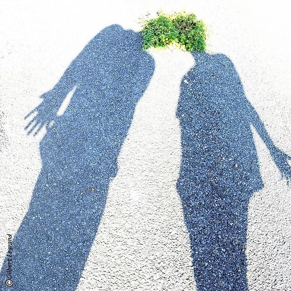 46. Удачное фото, ну сразу в Инстаграм