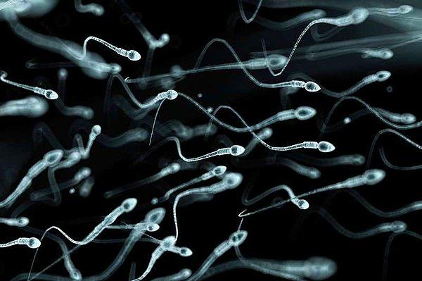 Sperm "çalmak" yasal mı?