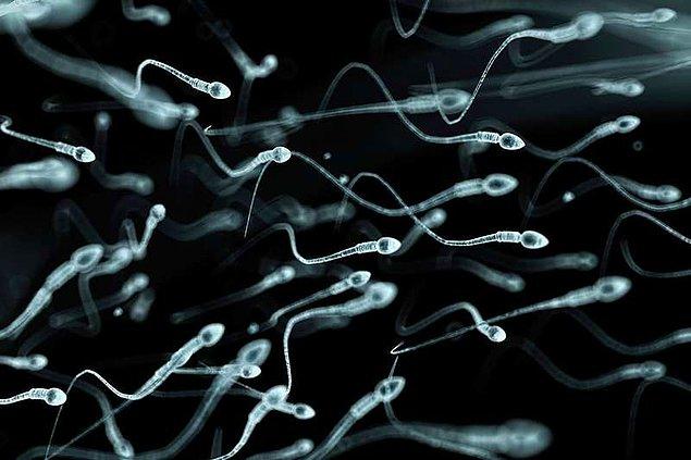 Sperm "çalmak" yasal mı?