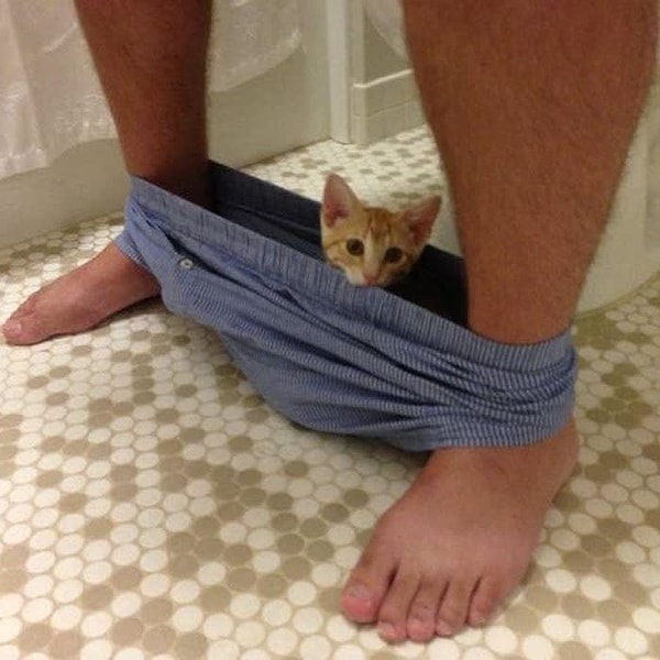 9. А что, тебе есть что от меня скрывать, хозяин?