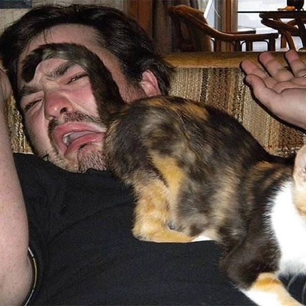 14. Повернулся самым выгодным местом