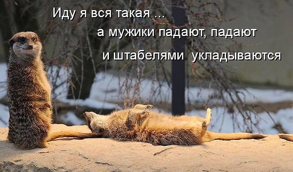 9. «Сразить (на)повал» — пишется…