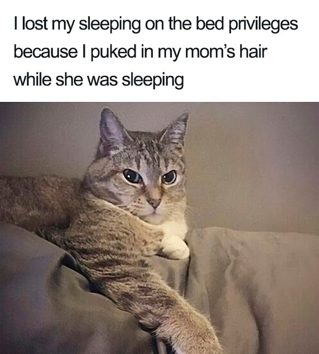 2.
