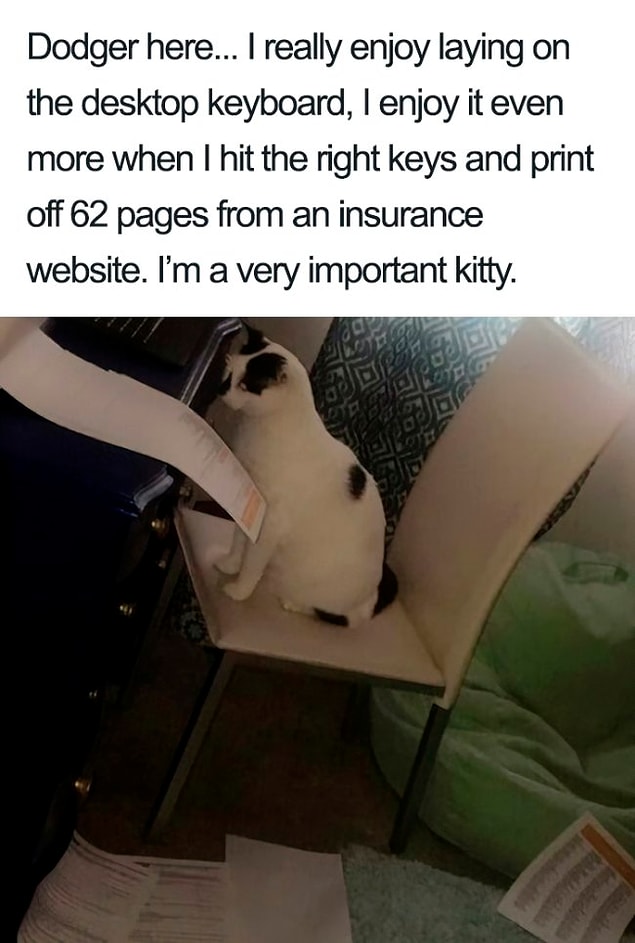 13.