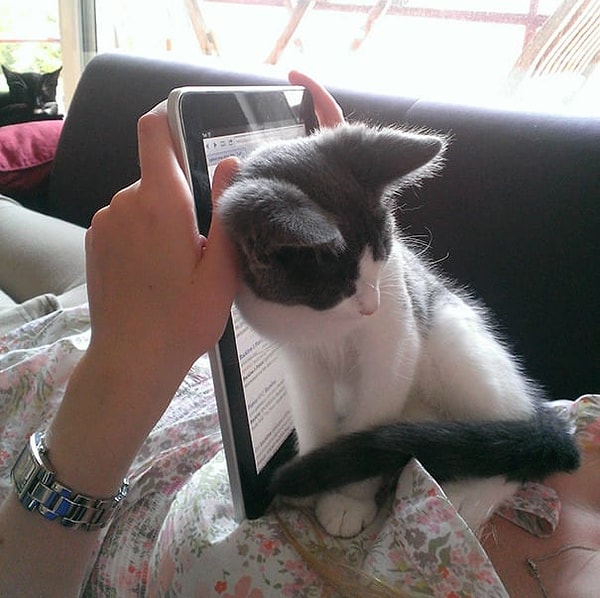 17. Хватит уже пялиться в экран