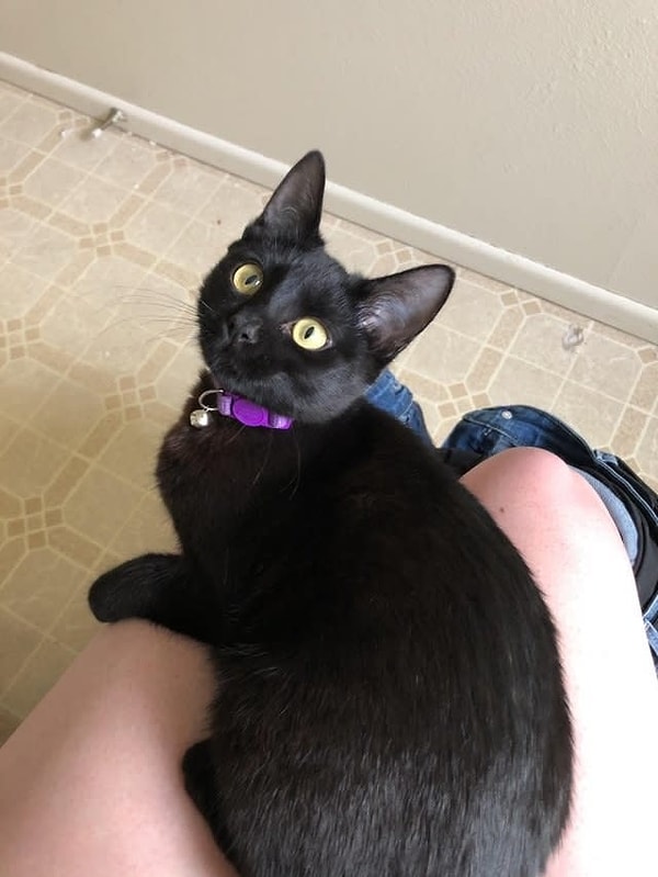 20. За это мы их и любим!