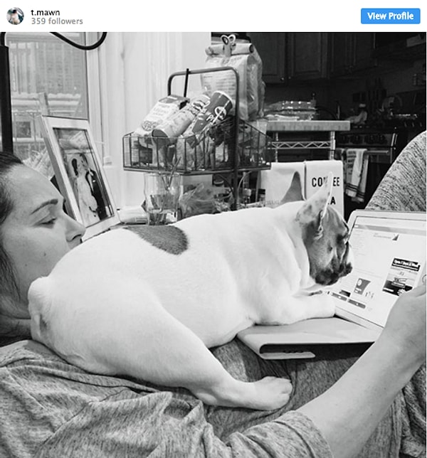 7. Любитель новостей