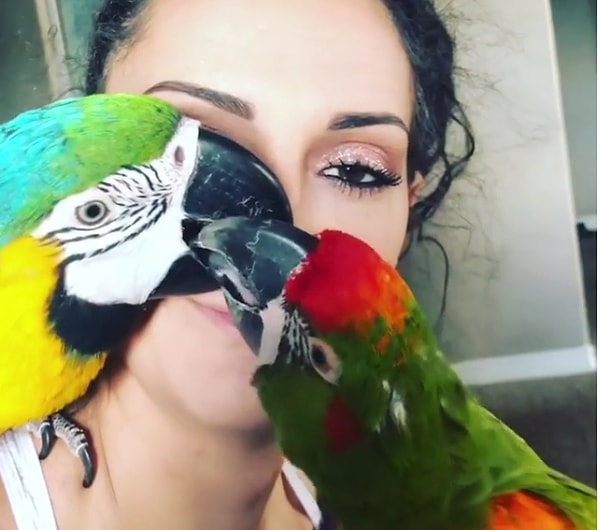 13. Почесать нос? Нет проблем!